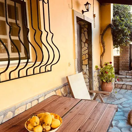 Vasiliki's *