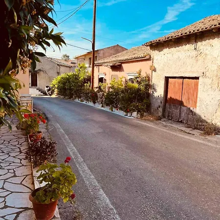 Vasiliki's